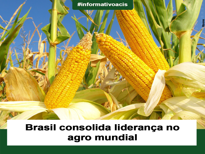 Notícia: Brasil consolida liderança no agro mundial